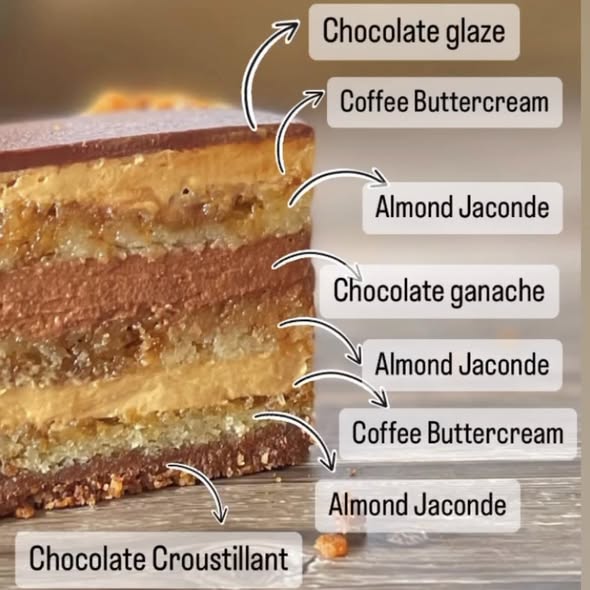 Internal structure of a classic Opera cake (layer-by-layer)